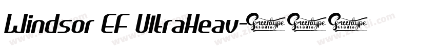 Windsor EF UltraHeav字体转换